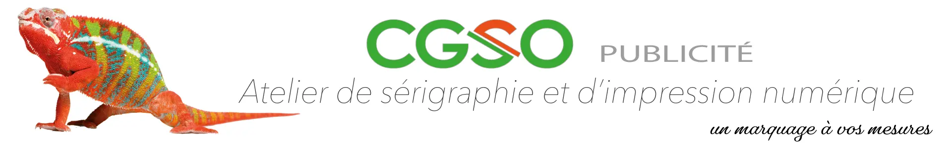 cgsopublicite
